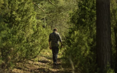 Marche méditative : comment pratiquer et pour quels bienfaits ?